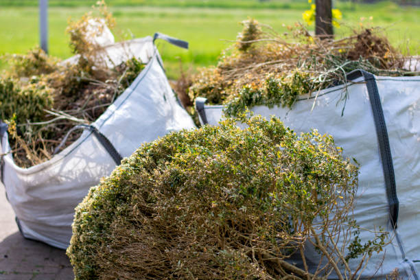 Best Hoarding Cleanup  in Manteno, IL