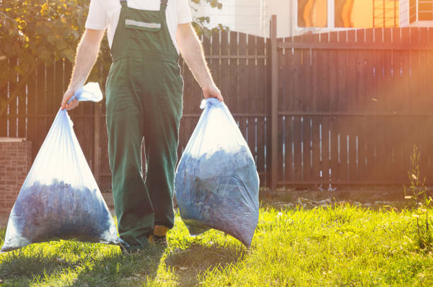 Best Shed Removal  in Manteno, IL